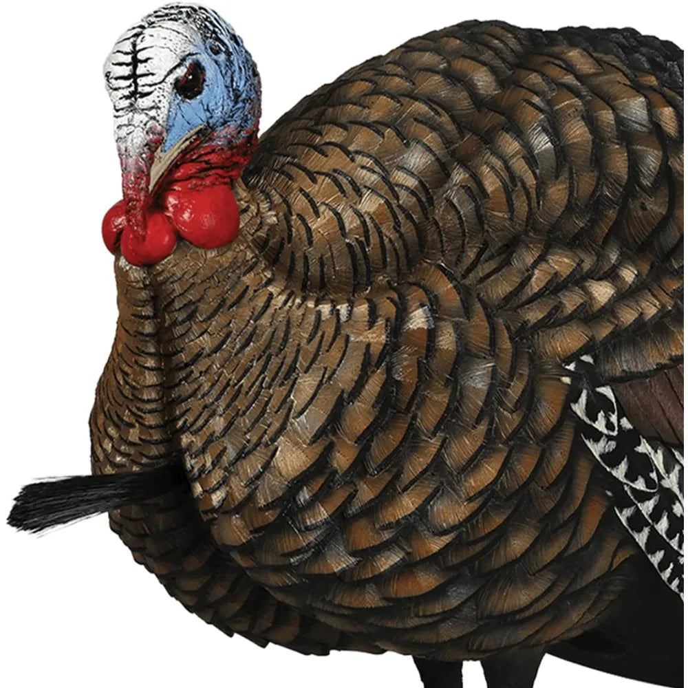 LCD Half-Strut Jake Turkey Decoy Durable Lifelike Decoy