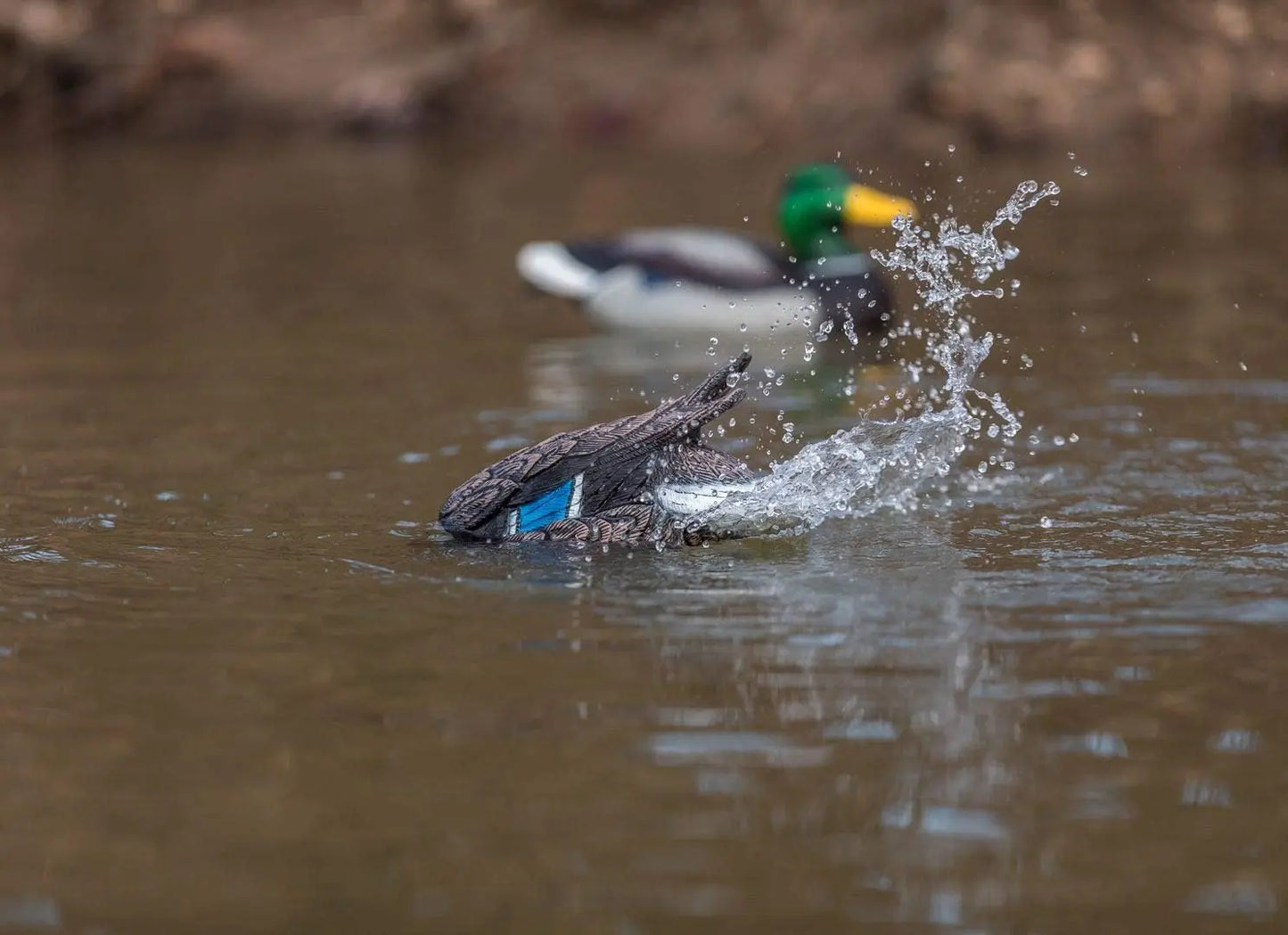 Water Motion Duck Hunting Decoys Lucky Agitator Set