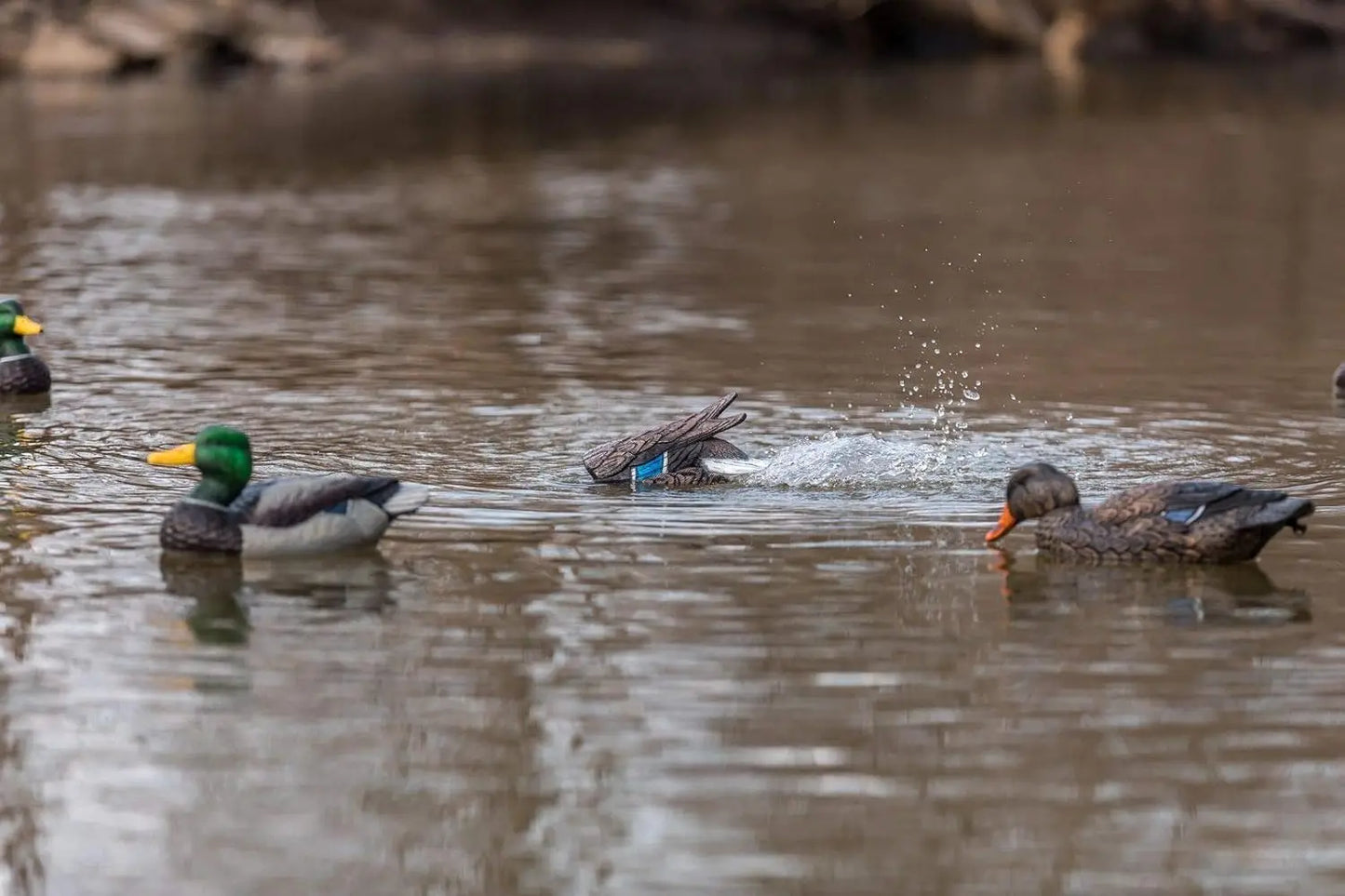 Water Motion Duck Hunting Decoys Lucky Agitator Set