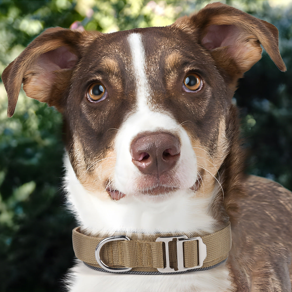 Heavy-Duty Reflective Dog Collar for Medium to Large Dogs
