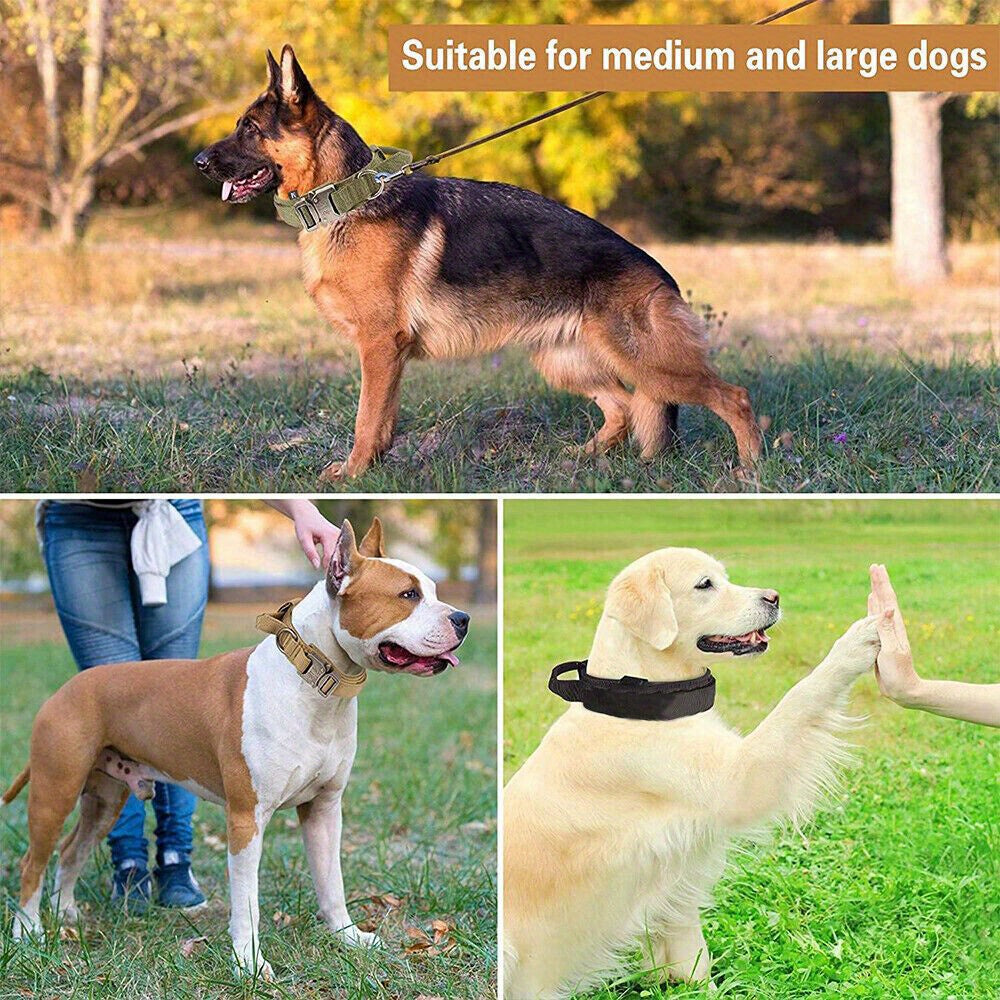 Tactical Dog Collar with Handle and Metal Buckle 1.5 Inch