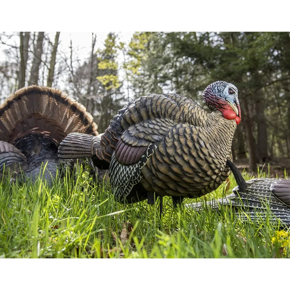 LCD Half-Strut Jake Turkey Decoy Durable Lifelike Decoy