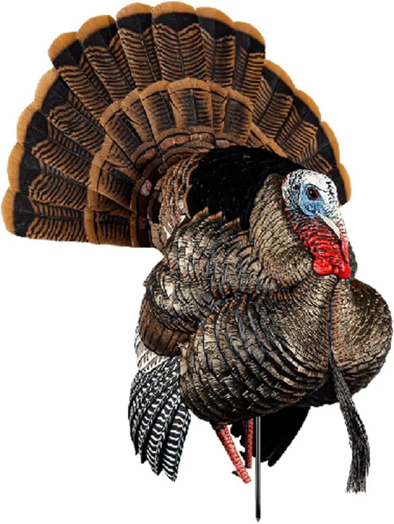 Turkey Decoy - Rugged Durable Body Standing Hunting Decoy