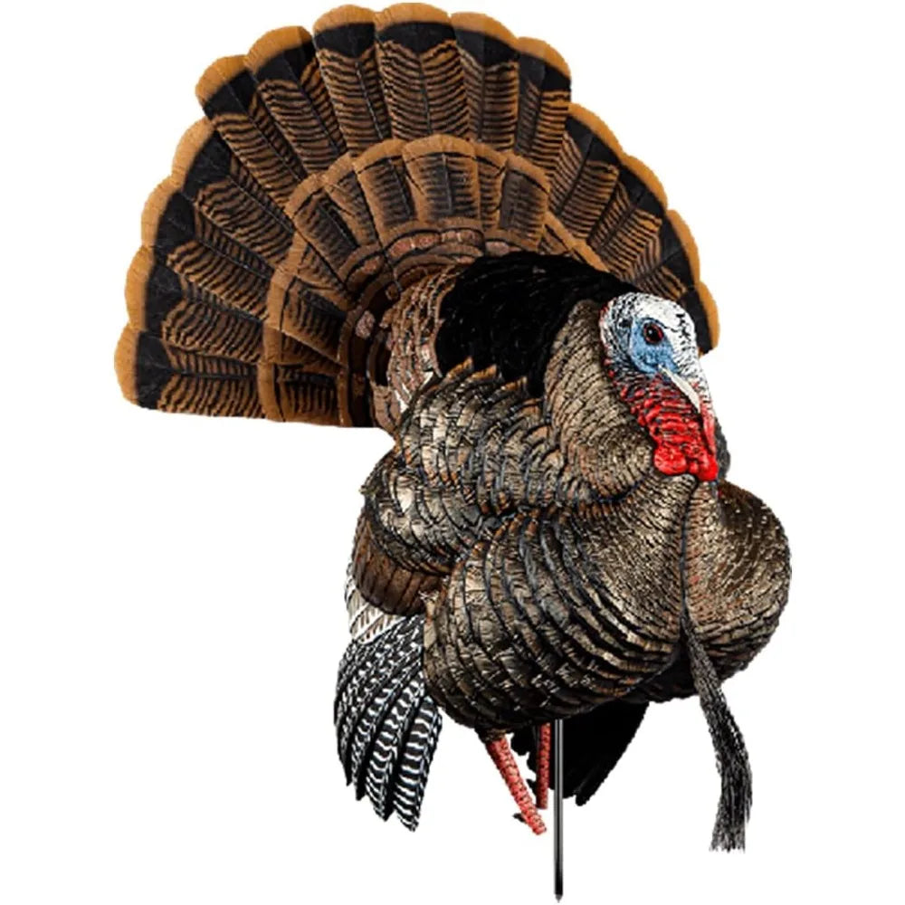 Turkey Decoy - Rugged Durable Body Standing Hunting Decoy