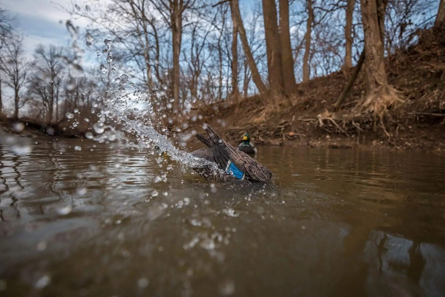 Water Motion Duck Hunting Decoys Lucky Agitator Set