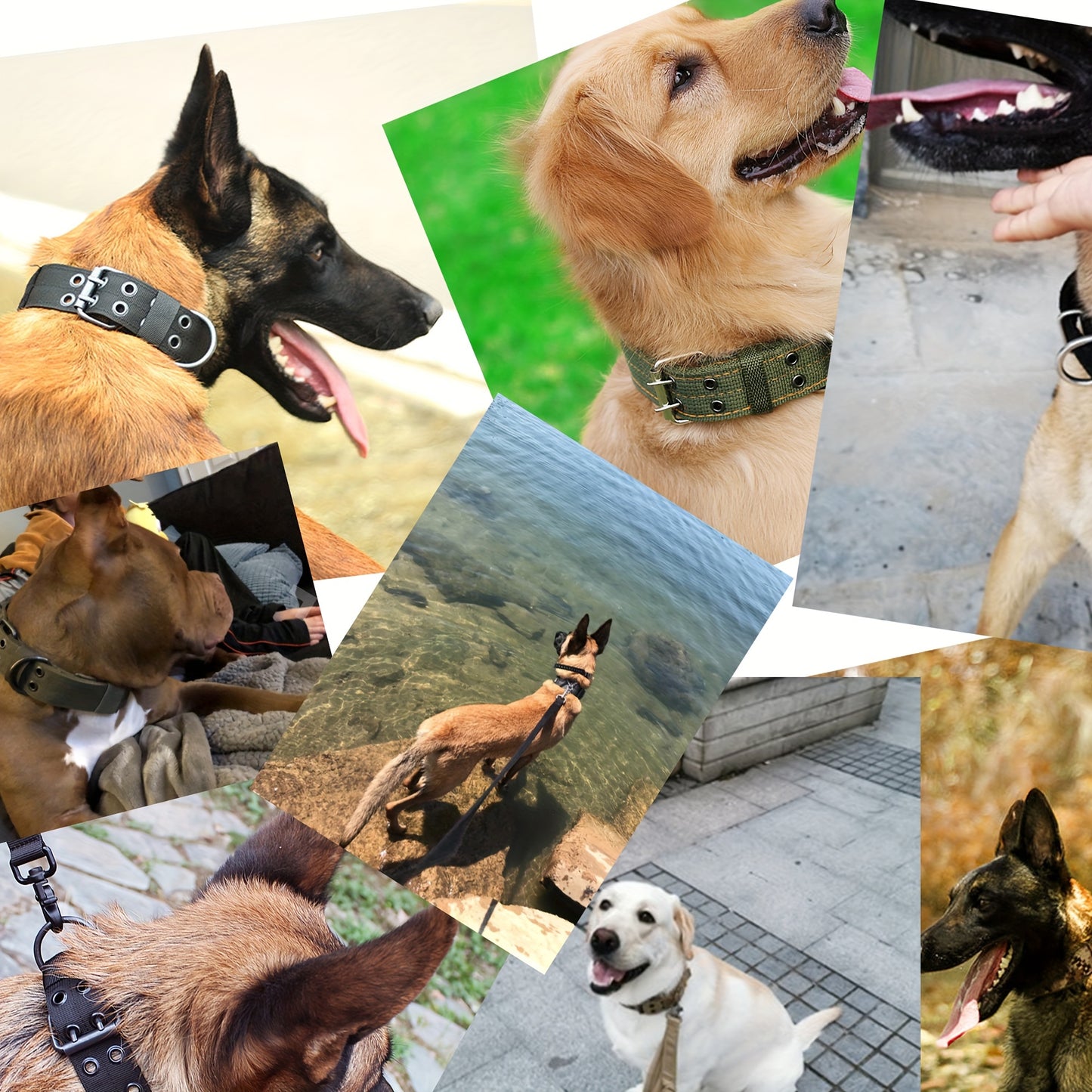 Tactical Dog Collar With Sturdy Metal Buckle Handle